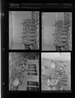 Boy Scout feature (4 Negatives) (February 4, 1956) [Sleeve 3, Folder f, Box 9]